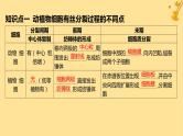 江苏专版2023_2024学年新教材高中生物第6章细胞的生命历程第1节细胞的增殖第2课时动植物细胞有丝分裂的比较及观察根尖分生区组织细胞的有丝分裂课件新人教版必修1