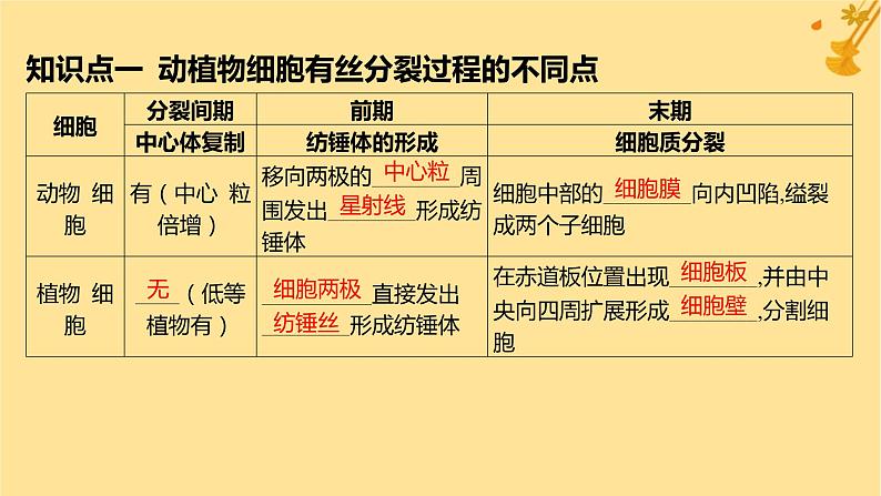 江苏专版2023_2024学年新教材高中生物第6章细胞的生命历程第1节细胞的增殖第2课时动植物细胞有丝分裂的比较及观察根尖分生区组织细胞的有丝分裂课件新人教版必修105