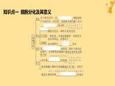 江苏专版2023_2024学年新教材高中生物第6章细胞的生命历程第2节细胞的分化课件新人教版必修1