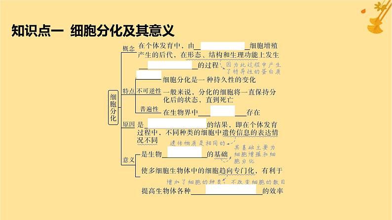 江苏专版2023_2024学年新教材高中生物第6章细胞的生命历程第2节细胞的分化课件新人教版必修105