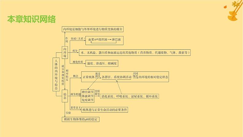 江苏专版2023_2024学年新教材高中生物第1章人体的内环境与稳态章末测评卷课件新人教版选择性必修101