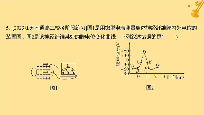 江苏专版2023_2024学年新教材高中生物第2章神经调节第3节神经冲动的产生和传导第1课时兴奋在神经纤维上的传导分层作业课件新人教版选择性必修1第8页