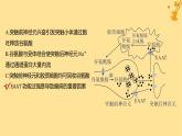 江苏专版2023_2024学年新教材高中生物第2章神经调节第3节神经冲动的产生和传导第2课时兴奋在神经元之间的传递和滥用兴奋剂吸食毒品的危害分层作业课件新人教版选择性必修1