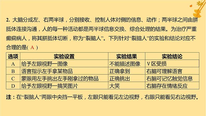 江苏专版2023_2024学年新教材高中生物第2章神经调节第5节人脑的高级功能分层作业课件新人教版选择性必修1第3页