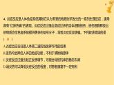 江苏专版2023_2024学年新教材高中生物第4章免疫调节第1节免疫系统的组成和功能分层作业课件新人教版选择性必修1