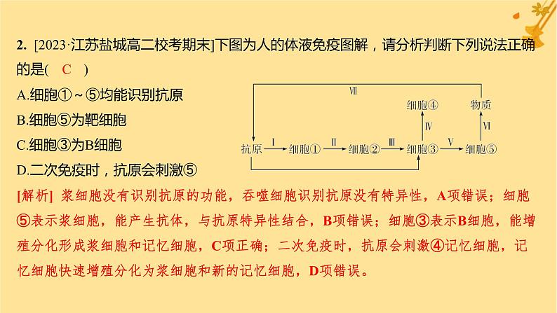 江苏专版2023_2024学年新教材高中生物第4章免疫调节第2节特异性免疫第1课时体液免疫分层作业课件新人教版选择性必修103