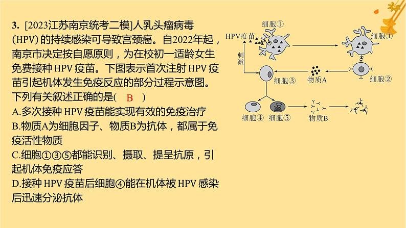 江苏专版2023_2024学年新教材高中生物第4章免疫调节第2节特异性免疫第1课时体液免疫分层作业课件新人教版选择性必修104