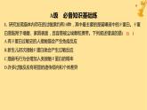 江苏专版2023_2024学年新教材高中生物第4章免疫调节第3节免疫失调分层作业课件新人教版选择性必修1