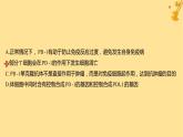 江苏专版2023_2024学年新教材高中生物第4章免疫调节第3节免疫失调分层作业课件新人教版选择性必修1