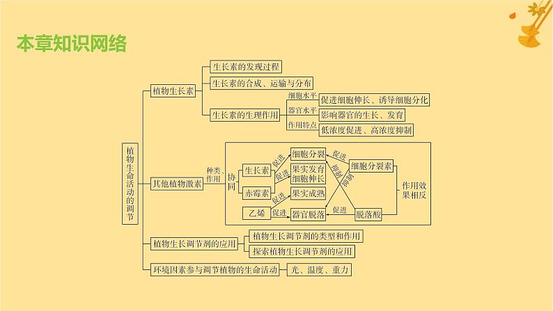 江苏专版2023_2024学年新教材高中生物第5章植物生命活动的调节章末测评卷课件新人教版选择性必修101