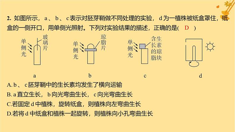 江苏专版2023_2024学年新教材高中生物第5章植物生命活动的调节章末测评卷课件新人教版选择性必修105