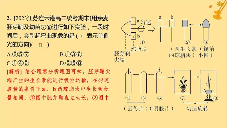 江苏专版2023_2024学年新教材高中生物第5章植物生命活动的调节第1节植物生长素分层作业课件新人教版选择性必修104