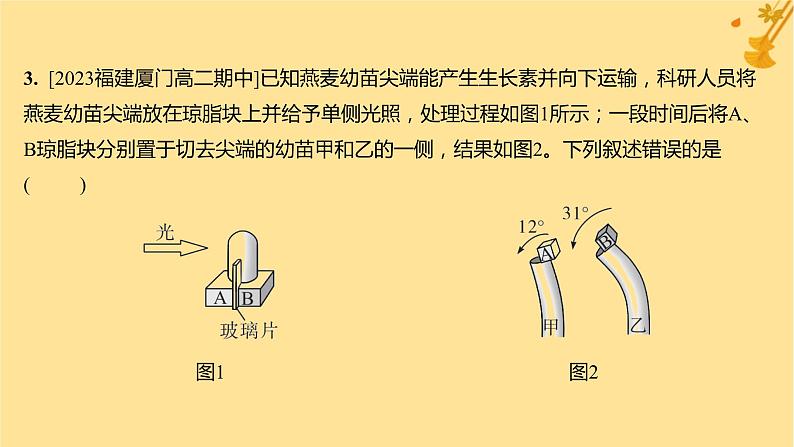 江苏专版2023_2024学年新教材高中生物第5章植物生命活动的调节第1节植物生长素分层作业课件新人教版选择性必修107