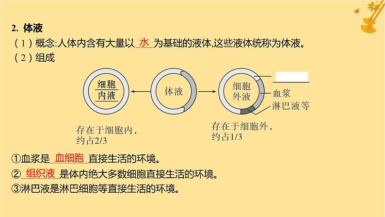 江苏专版2023_2024学年新教材高中生物第1章人体的内环境与稳态第1节细胞生活的环境课件新人教版选择性必修1第6页