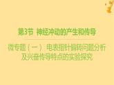 江苏专版2023_2024学年新教材高中生物第2章神经调节微专题一电表指针偏转问题分析及兴奋传导特点的实验探究课件新人教版选择性必修1