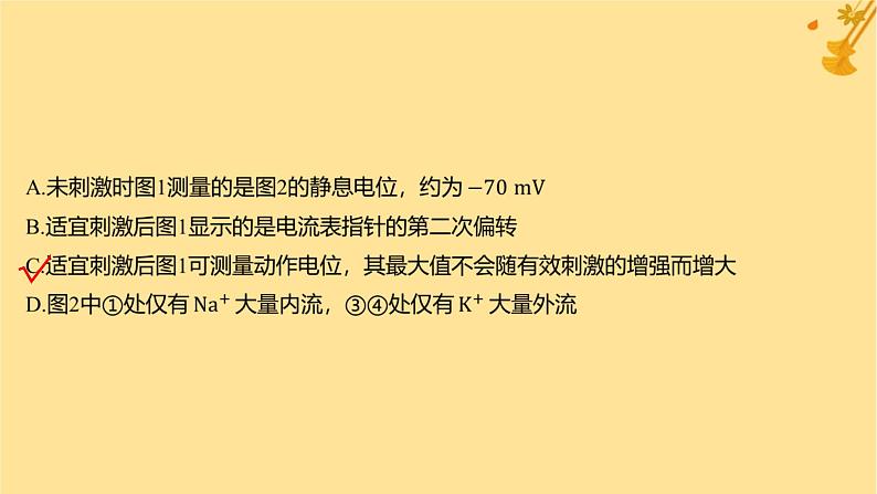 江苏专版2023_2024学年新教材高中生物第2章神经调节微专题一电表指针偏转问题分析及兴奋传导特点的实验探究课件新人教版选择性必修104