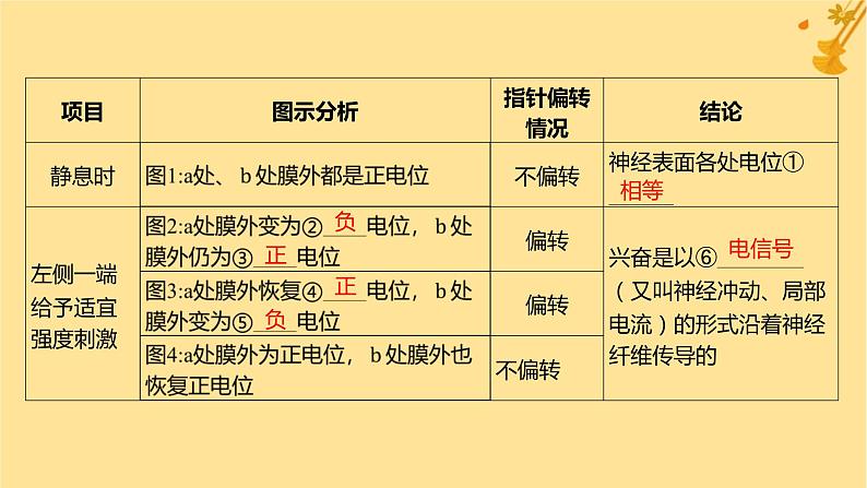 江苏专版2023_2024学年新教材高中生物第2章神经调节第3节神经冲动的产生和传导第1课时兴奋在神经纤维上的传导课件新人教版选择性必修1第6页