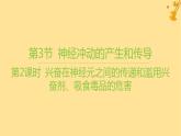江苏专版2023_2024学年新教材高中生物第2章神经调节第3节神经冲动的产生和传导第2课时兴奋在神经元之间的传递和滥用兴奋剂吸食毒品的危害课件新人教版选择性必修1