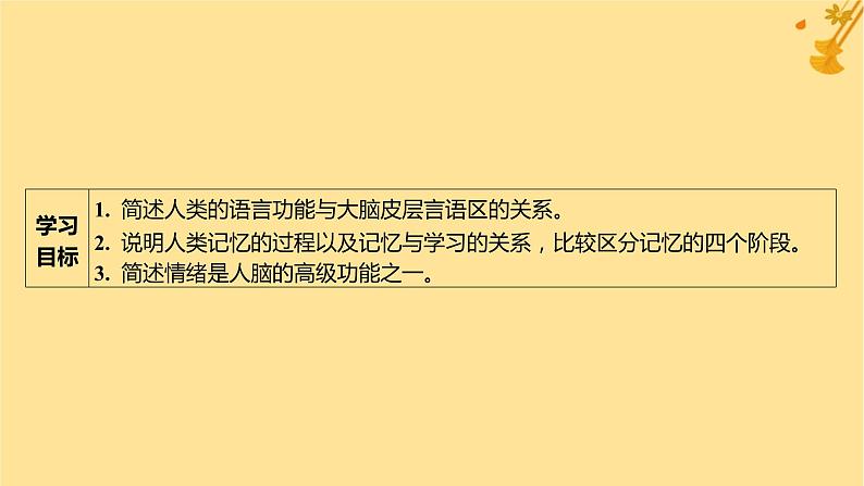 江苏专版2023_2024学年新教材高中生物第2章神经调节第5节人脑的高级功能课件新人教版选择性必修103