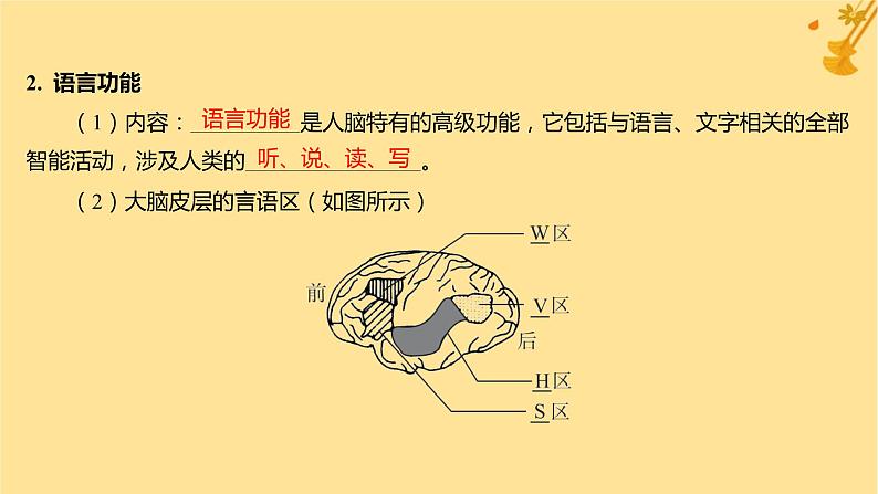 江苏专版2023_2024学年新教材高中生物第2章神经调节第5节人脑的高级功能课件新人教版选择性必修106