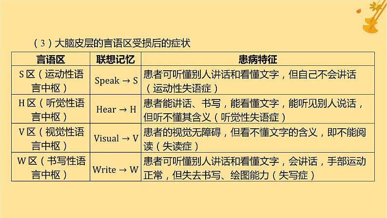 江苏专版2023_2024学年新教材高中生物第2章神经调节第5节人脑的高级功能课件新人教版选择性必修107