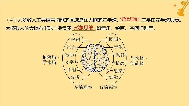江苏专版2023_2024学年新教材高中生物第2章神经调节第5节人脑的高级功能课件新人教版选择性必修108