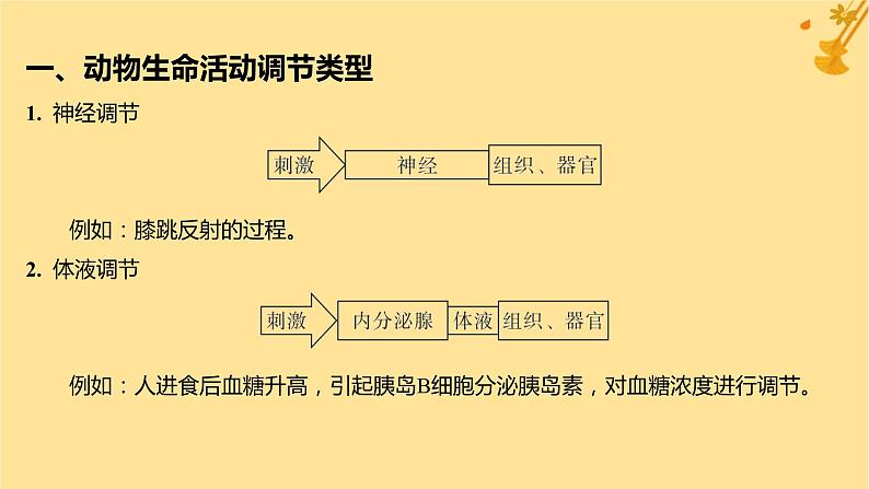 江苏专版2023_2024学年新教材高中生物第3章体液调节微专题二动物生命活动调节类型及下丘脑课件新人教版选择性必修102