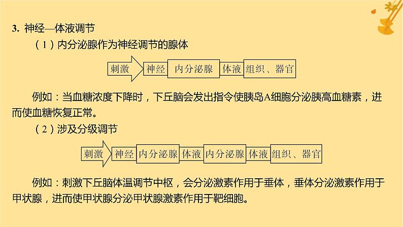 江苏专版2023_2024学年新教材高中生物第3章体液调节微专题二动物生命活动调节类型及下丘脑课件新人教版选择性必修103