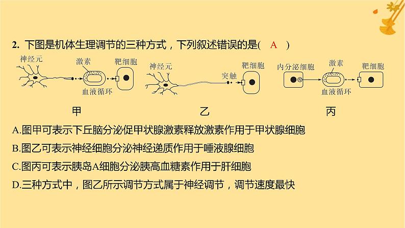 江苏专版2023_2024学年新教材高中生物第3章体液调节微专题二动物生命活动调节类型及下丘脑课件新人教版选择性必修106