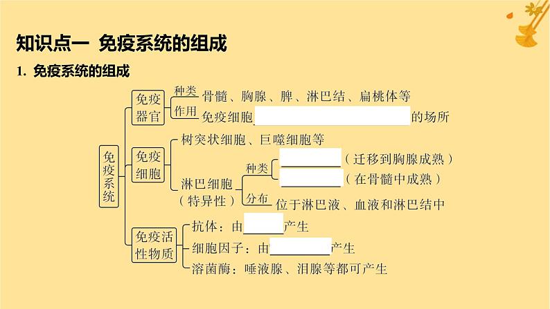 江苏专版2023_2024学年新教材高中生物第4章免疫调节第1节免疫系统的组成和功能课件新人教版选择性必修105