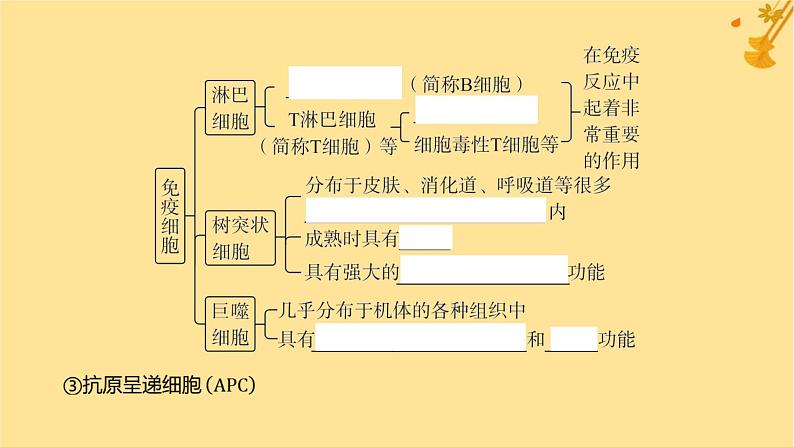江苏专版2023_2024学年新教材高中生物第4章免疫调节第1节免疫系统的组成和功能课件新人教版选择性必修108