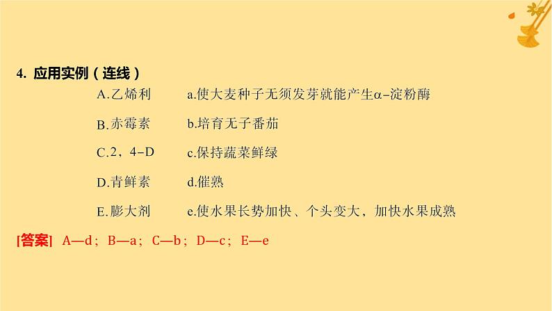 江苏专版2023_2024学年新教材高中生物第5章植物生命活动的调节第3节植物生长调节剂的应用课件新人教版选择性必修106