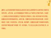 江蘇專版2023_2024學年新教材高中生物第3章生態(tài)系統(tǒng)及其穩(wěn)定性測評課件新人教版選擇性必修2