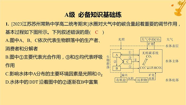 江苏专版2023_2024学年新教材高中生物第3章生态系统及其稳定性第3节生态系统的物质循环分层作业课件新人教版选择性必修2第2页