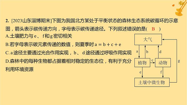 江苏专版2023_2024学年新教材高中生物第3章生态系统及其稳定性第3节生态系统的物质循环分层作业课件新人教版选择性必修2第4页