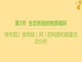 江蘇專版2023_2024學年新教材高中生物第3章生態(tài)系統(tǒng)及其穩(wěn)定性微專題2食物鏈網(wǎng)的構建和能量流動分析課件新人教版選擇性必修2
