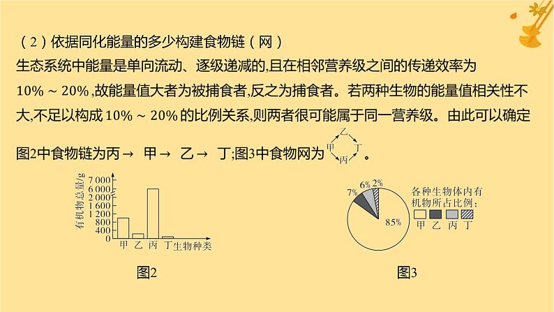 江苏专版2023_2024学年新教材高中生物第3章生态系统及其稳定性微专题2食物链网的构建和能量流动分析课件新人教版选择性必修203