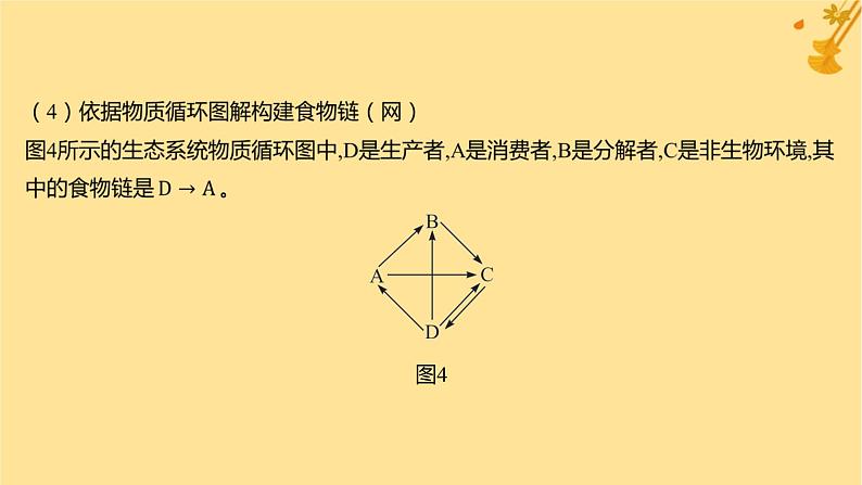 江苏专版2023_2024学年新教材高中生物第3章生态系统及其稳定性微专题2食物链网的构建和能量流动分析课件新人教版选择性必修205