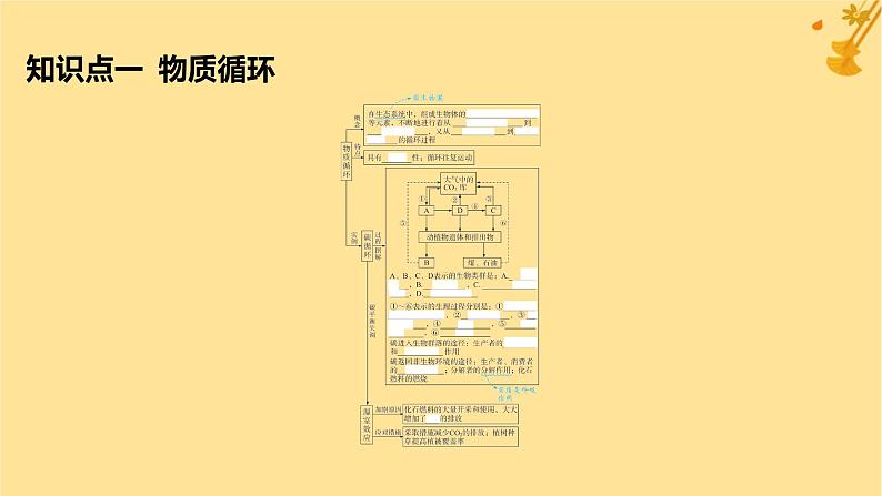 江苏专版2023_2024学年新教材高中生物第3章生态系统及其稳定性第3节生态系统的物质循环课件新人教版选择性必修205