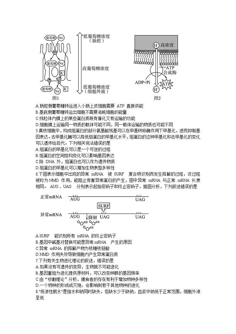 高二生物第2页