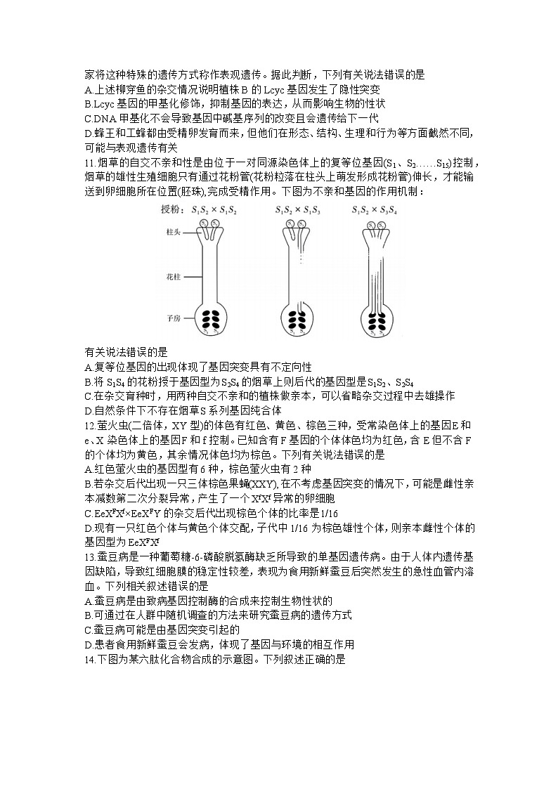 山西省三重教育联盟2023-2024学年高三上学期九月联考生物试卷（含答案）03