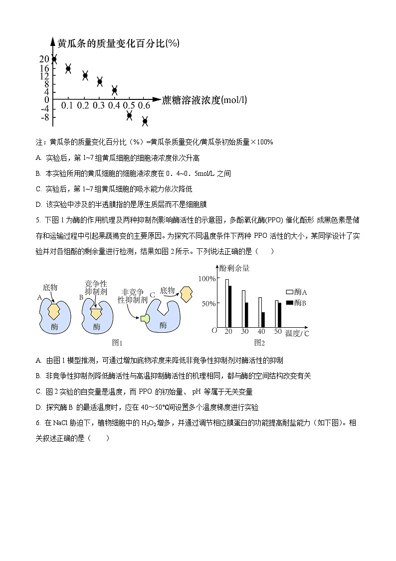 2024高邮高三上学期期初学情调研测试生物含解析02