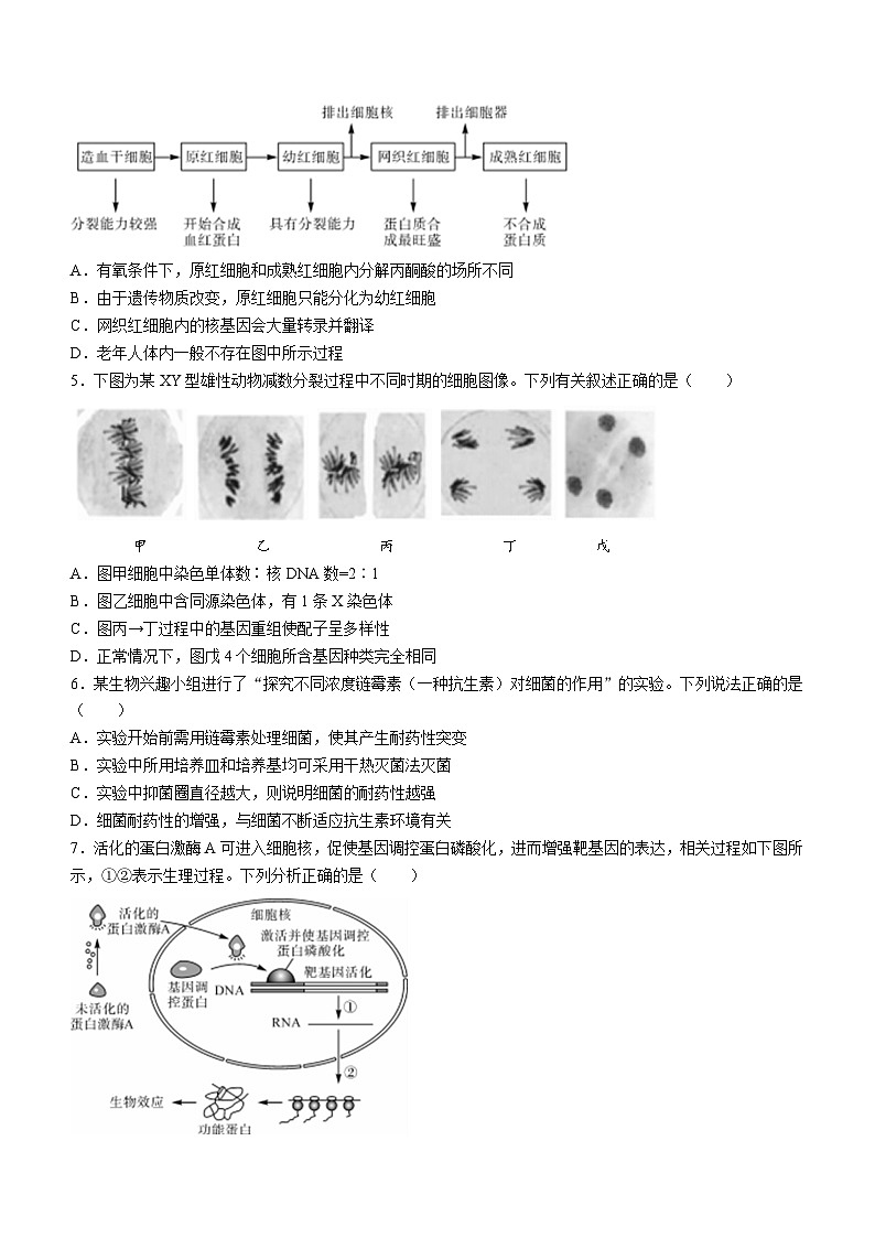 2024山东省金科大联考高三上学期9月质量检测生物无答案第2页