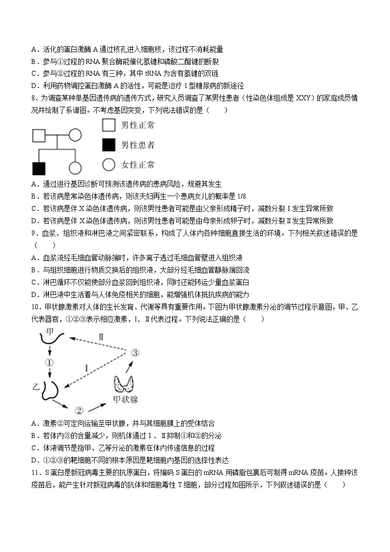 2024山东省金科大联考高三上学期9月质量检测生物无答案第3页