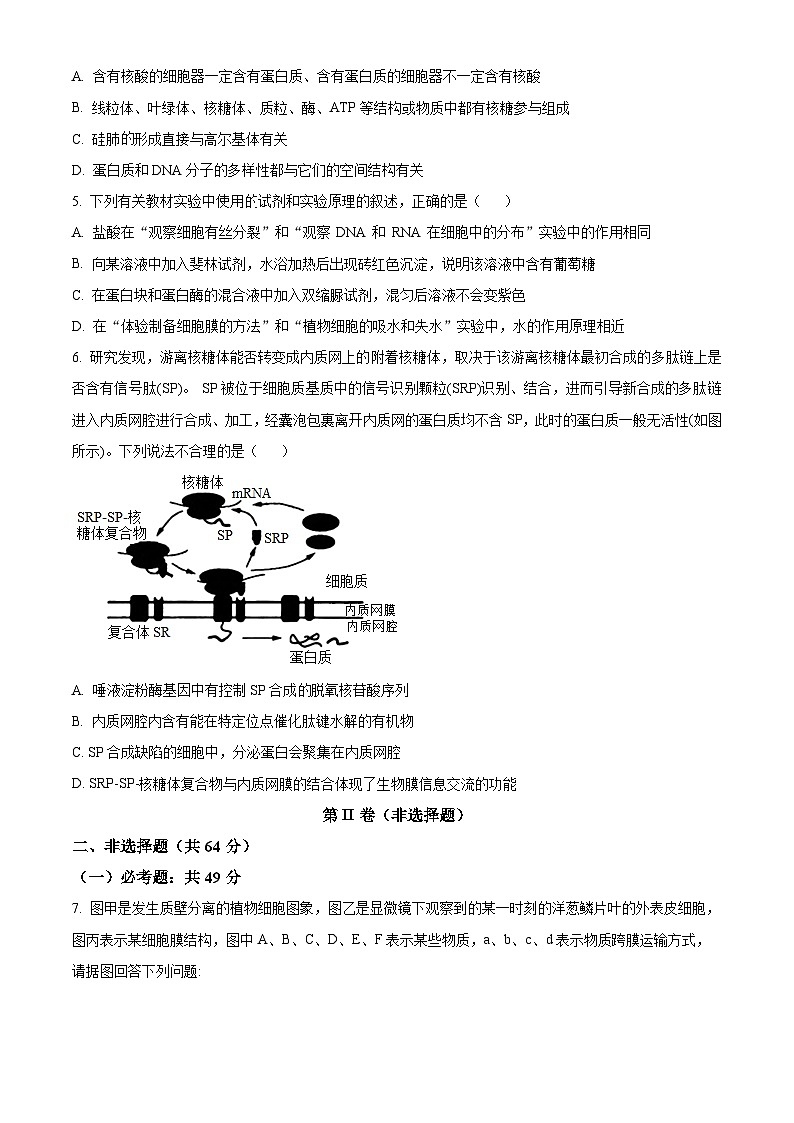 2024遂宁射洪中学高三补习班上学期入学考试理综生物试题含解析02