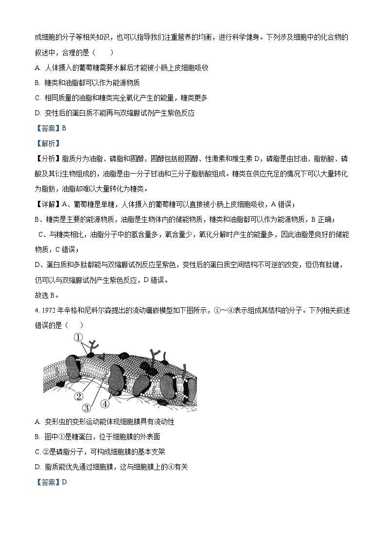 2023绍兴稽山中学高一下学期期中生物试题含解析02