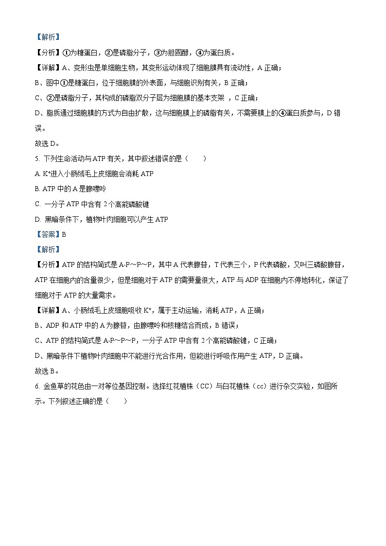 2023绍兴稽山中学高一下学期期中生物试题含解析03