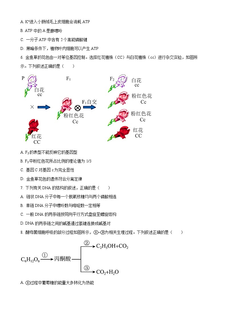 2023绍兴稽山中学高一下学期期中生物试题含解析02