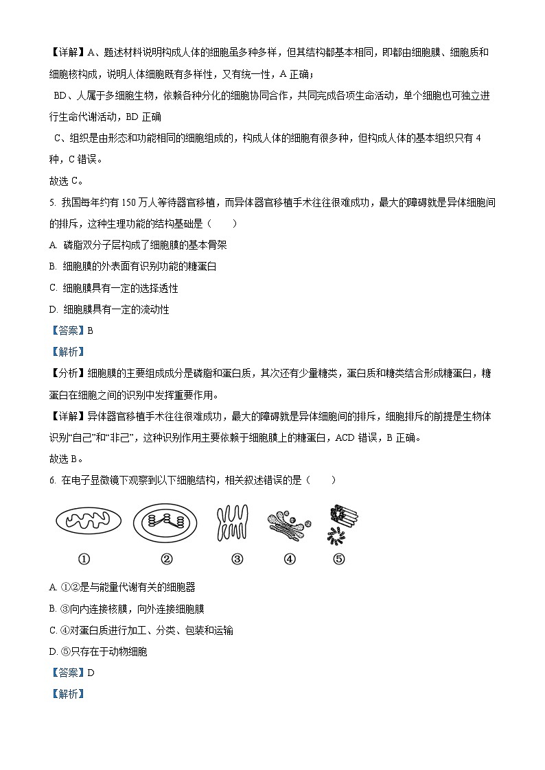 2021嘉兴八校联盟高一下学期期中联考生物试题含解析03