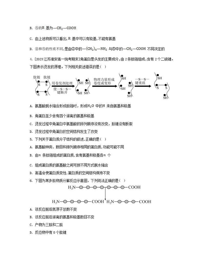 江苏专版2023_2024学年新教材高中生物第2章组成细胞的分子第4节蛋白质是生命活动的主要承担者分层作业新人教版必修1第2页